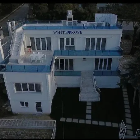 White Rose Villa *